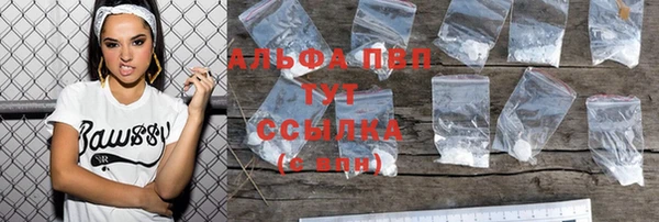 стаф Баксан