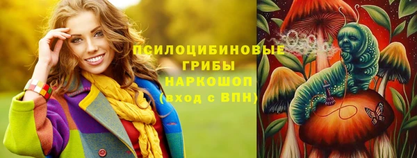 стаф Баксан