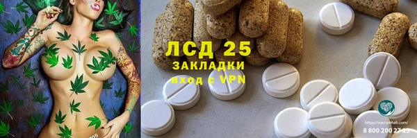 стаф Баксан