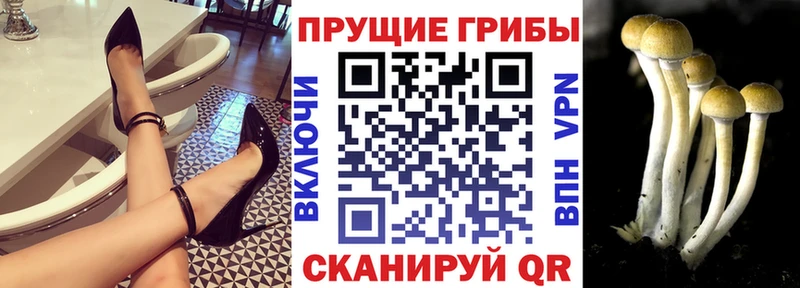 Галлюциногенные грибы мухоморы  купить наркотик  Горняк 